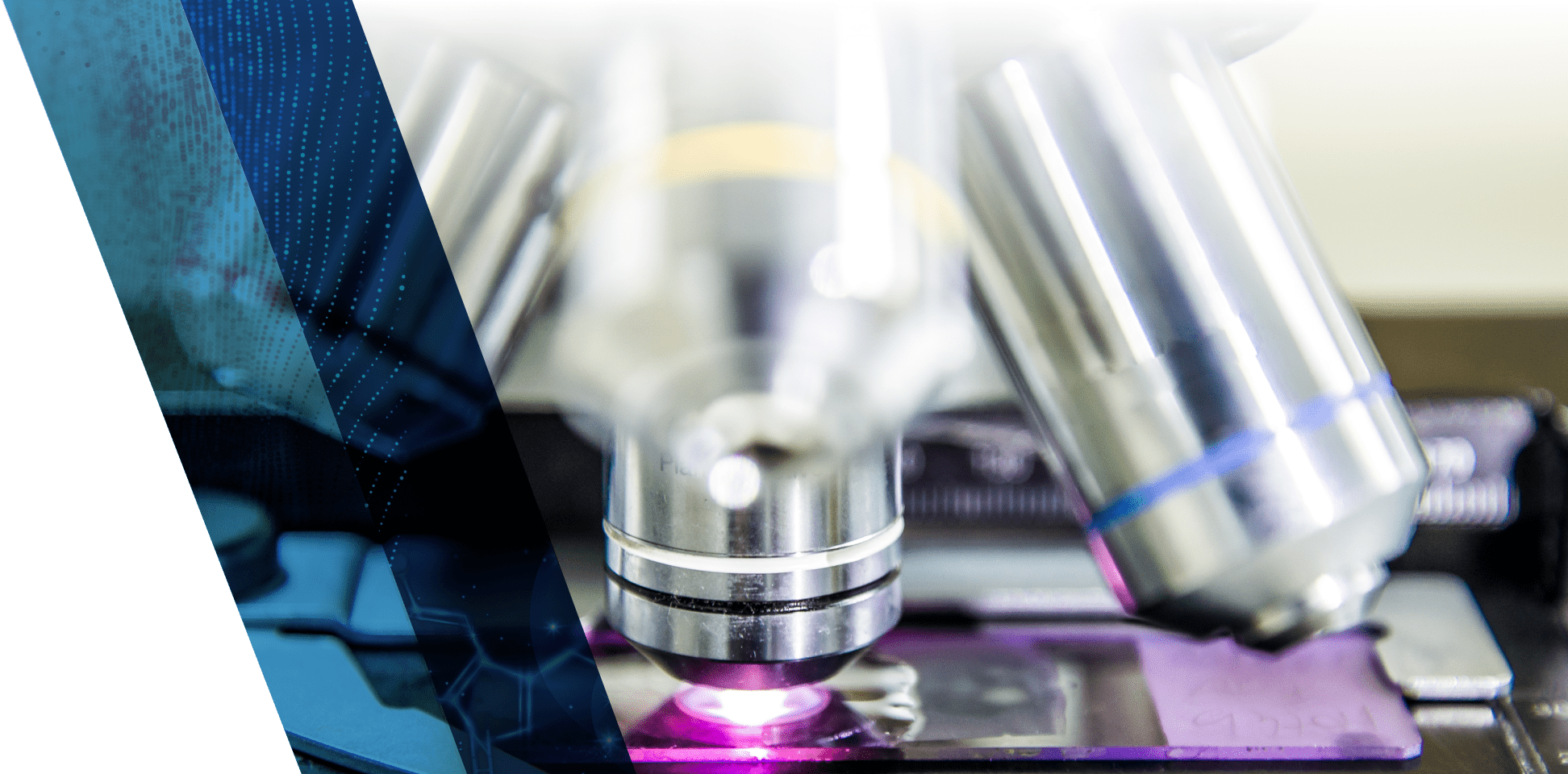 The objective lens of a microscope illuminates a glass slide.