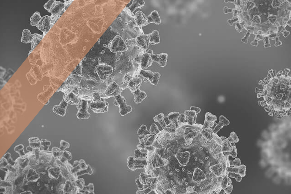 Infectious Disease